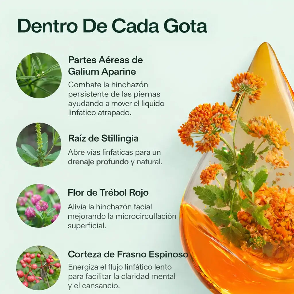 LymphiZen™ ¡Gotas de drenaje linfatico, elimina la hinchazon de tu cuerpo, recupera tu bienestar! Promo 45% OFF